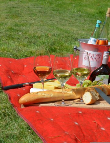 picnic-977866